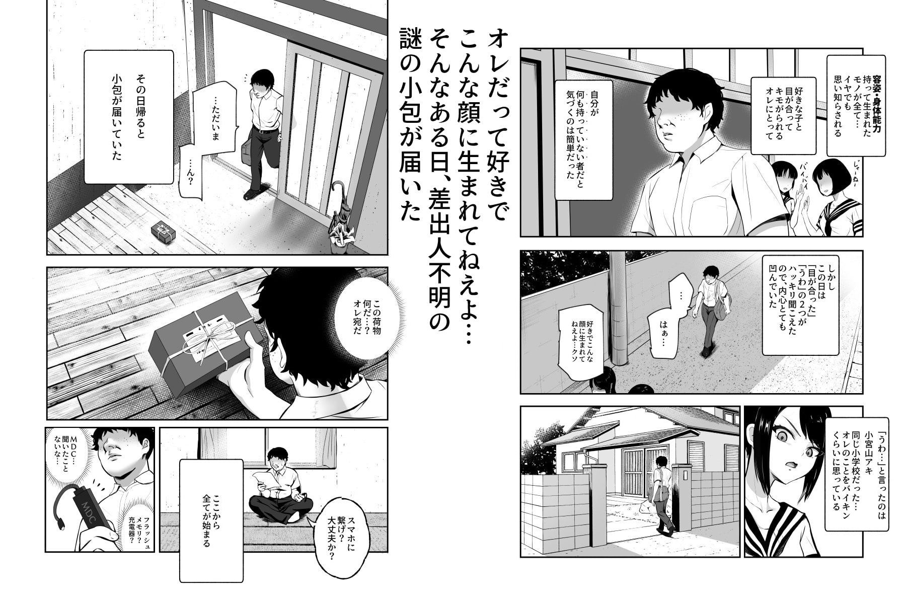 もしもデリヘルEX オレをバイキン扱いした女とずっと好きだった女を肉便器デリヘル