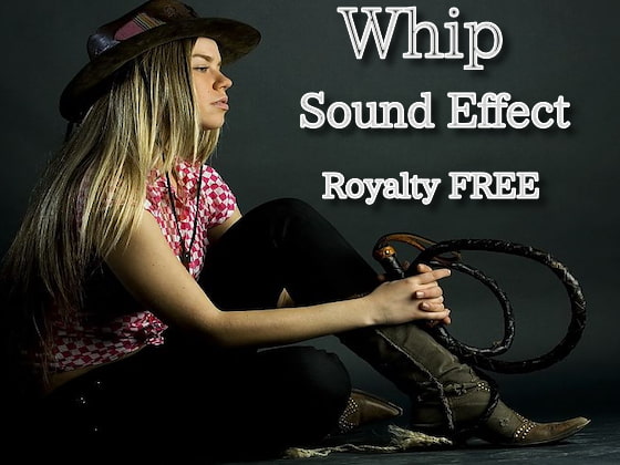 鞭(ムチ)での攻撃音 01