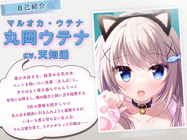 はじめてのペット! 甘エロにゃん娘の飼い方レッスン♪