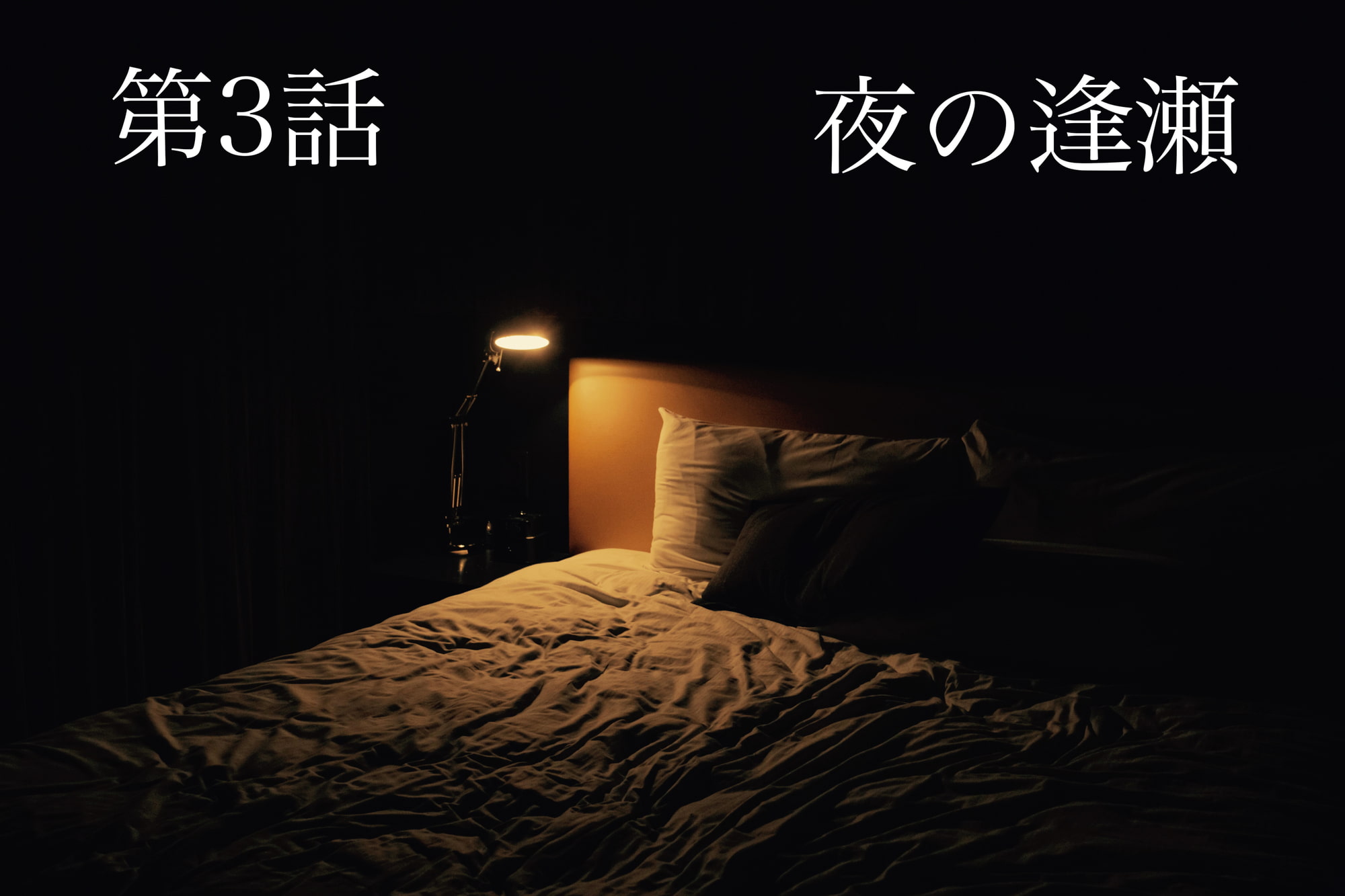 ボイスドラマシリーズ愛情日記 第3話 夜の逢瀬