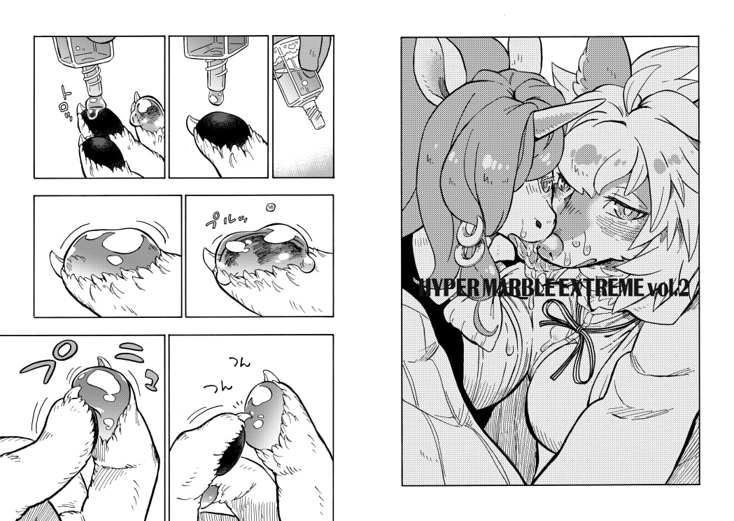 HYPER MARBLE EXTREME vol.2