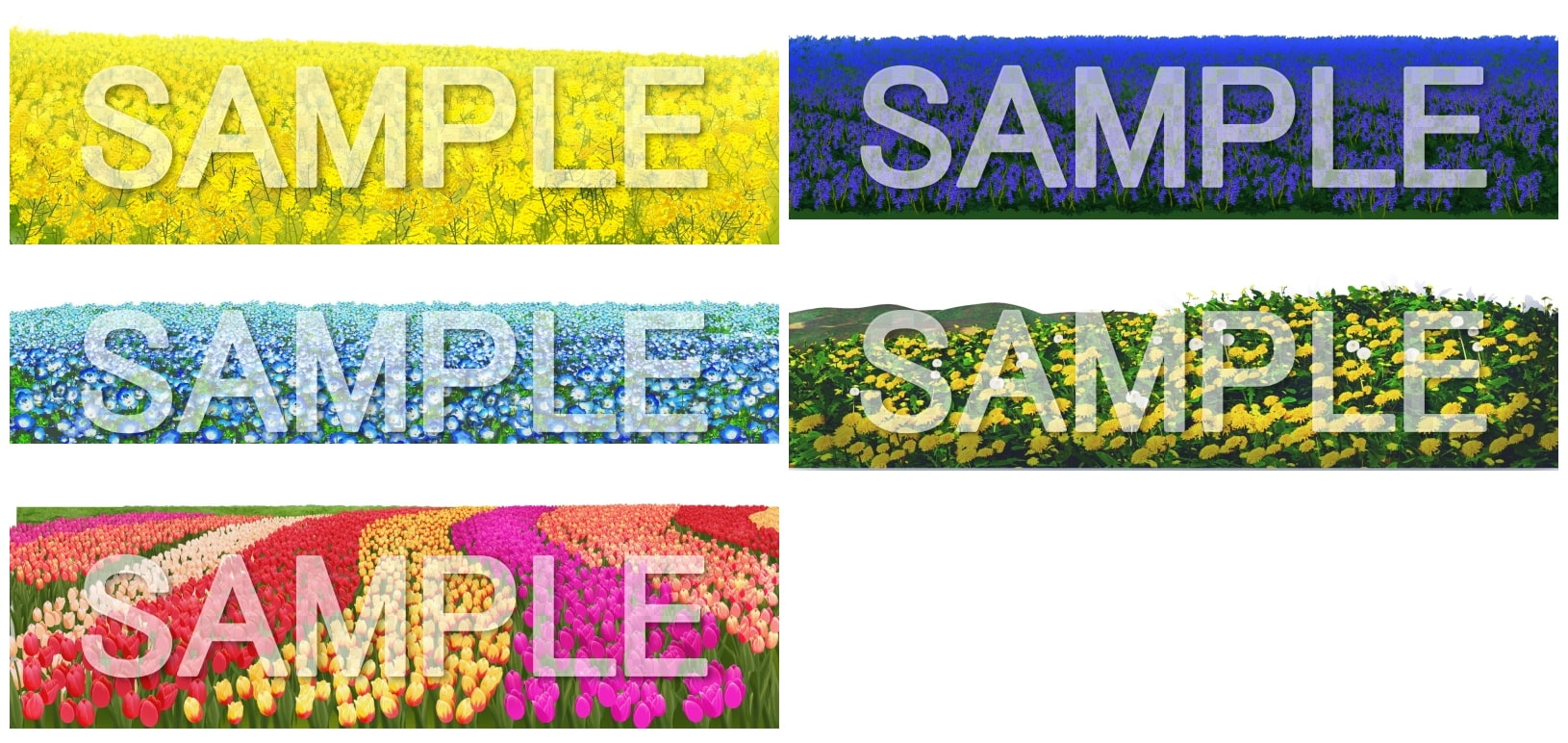 みにくる背景CGパーツ分け素材集『自然・春編』part05_単品