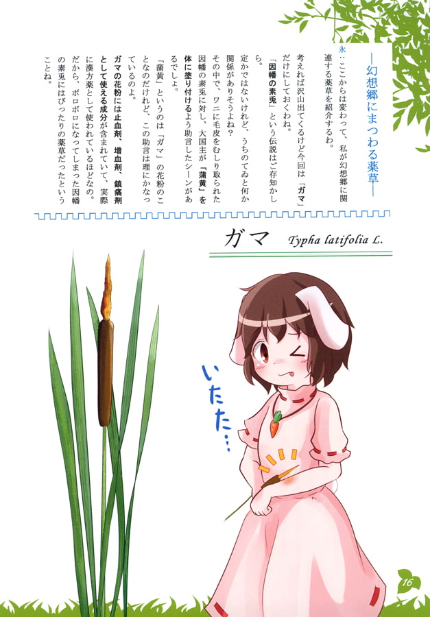 メディスン？ポイズン？-東方に伝わる薬草/毒草-