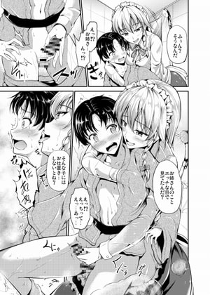 紅魔館の悪戯メイド