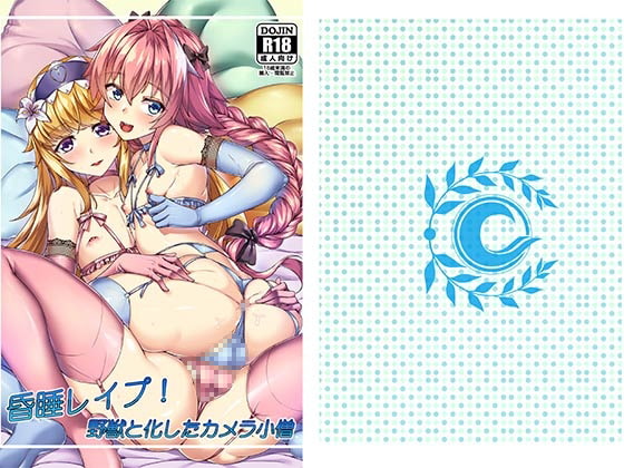昏睡レイプ!野獣と化したカメラ小僧中国語版