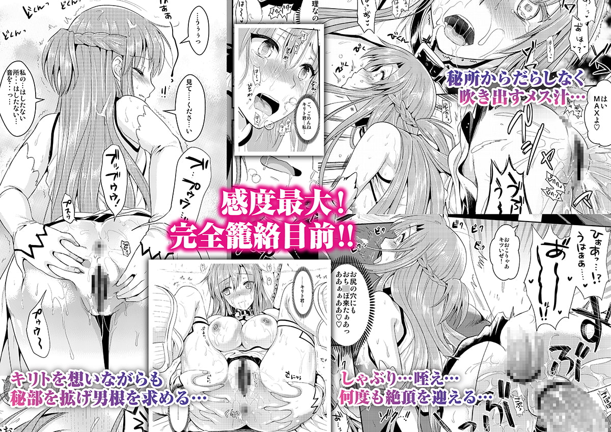 アナル奴隷II～非公式ギルドの性奴隷へと堕ちたアスナ～