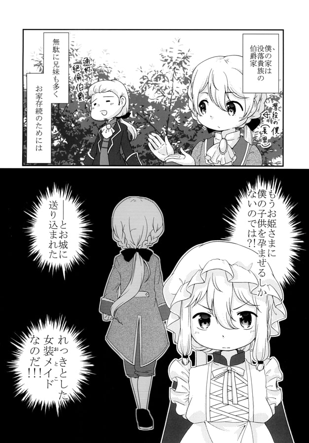 女装メイドとお姫さまのナイショの戯れ