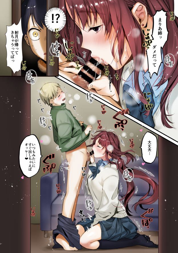 お姉ちゃん、君達の事しか愛せない/フルカラーedition