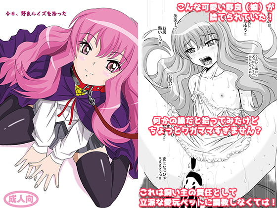 今日、野良ルイズを拾った