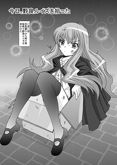 今日、野良ルイズを拾った