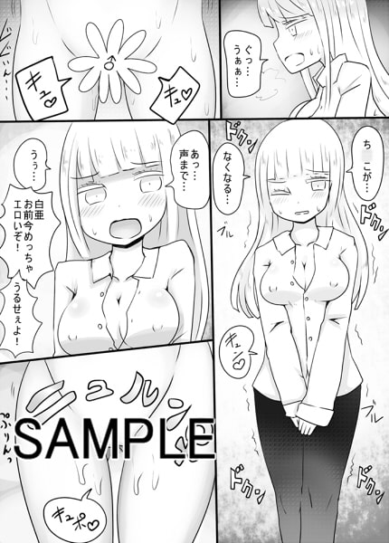 男子高校生、女体化、SEX