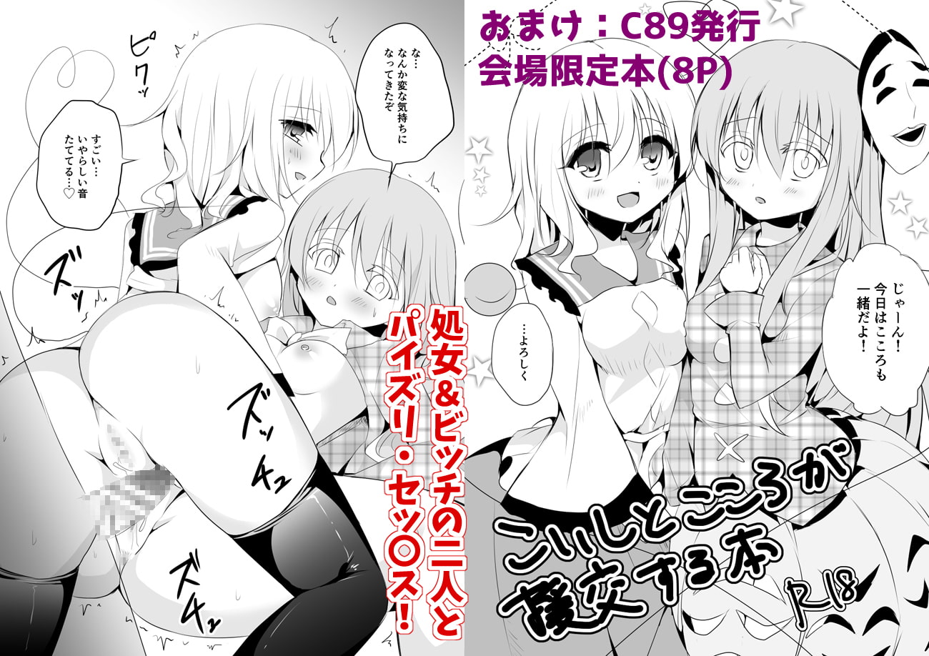 こいしちゃんのヒミツゴト2 +C89会場限定本