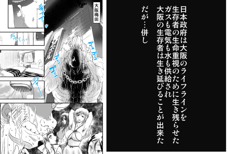 シャレーダーD02