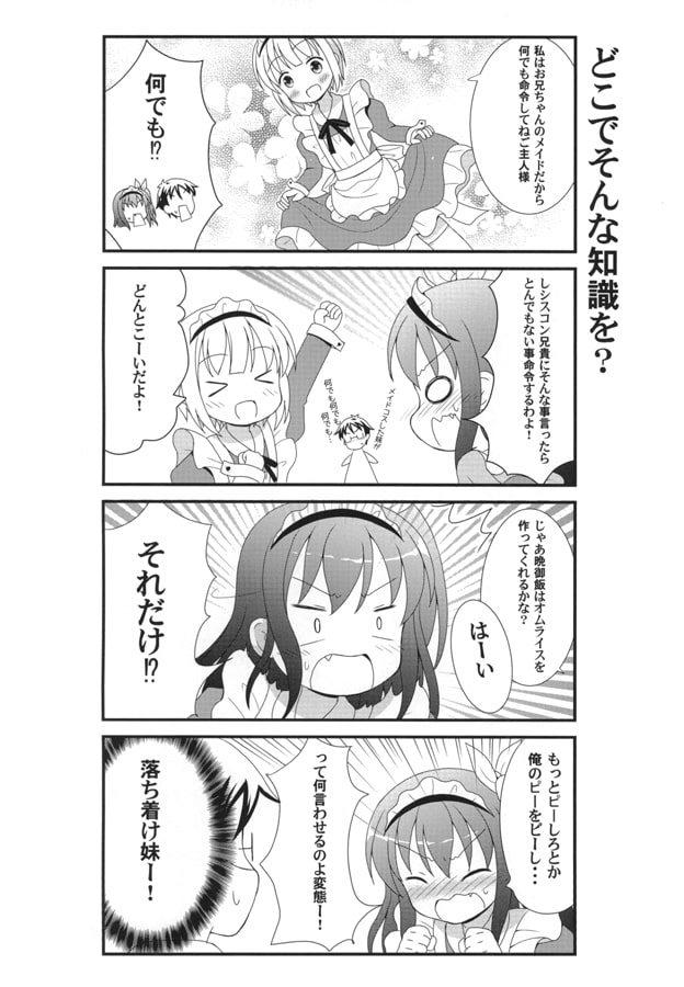 お兄ちゃんとご主人様どっちで呼んで欲しい?