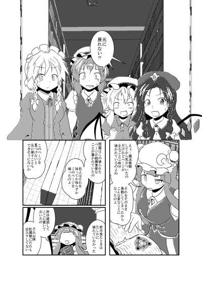 コカン交換!?紅魔館