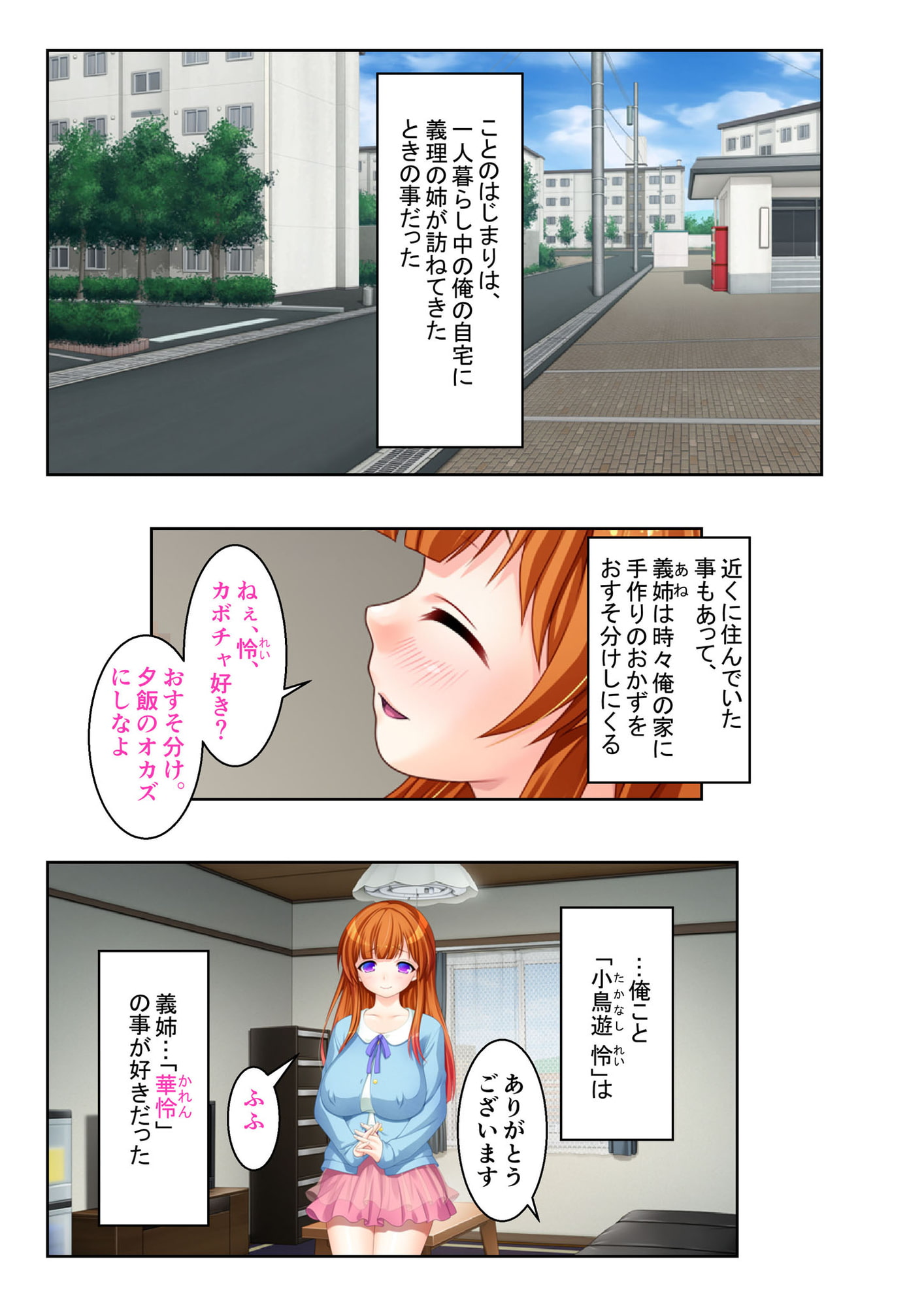 ネトラレ花嫁 ～義姉さん、ナカに出すよ～ モザイクコミック総集編