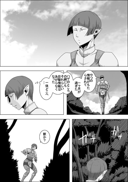 まだ題名のないファンタジー 地味なエルフと見習いの戦士VI