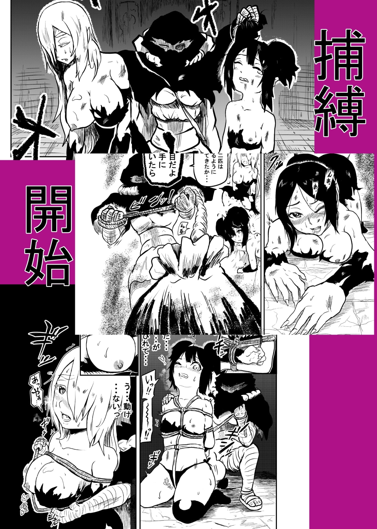 ヴァンパレイド ～吸血鬼 三姉妹 捕縛編～