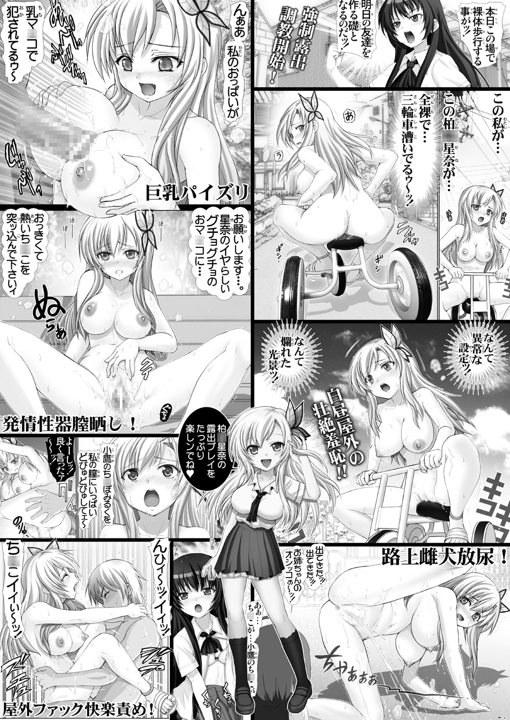 巨乳少女・白昼全裸露出!星奈の淫戯