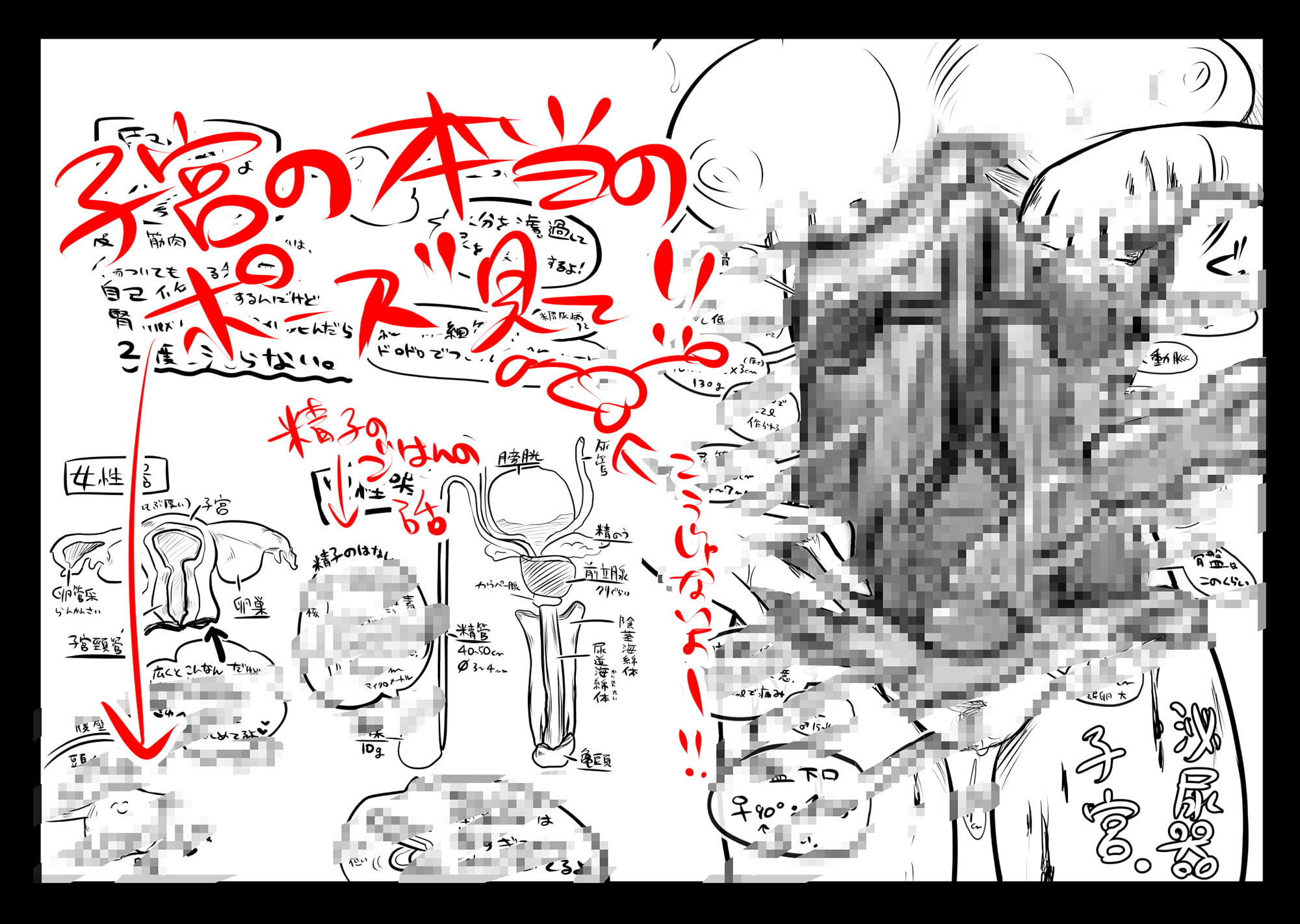 リョナラーの為の解剖生理!