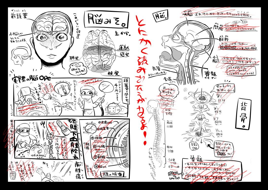 リョナラーの為の解剖生理!