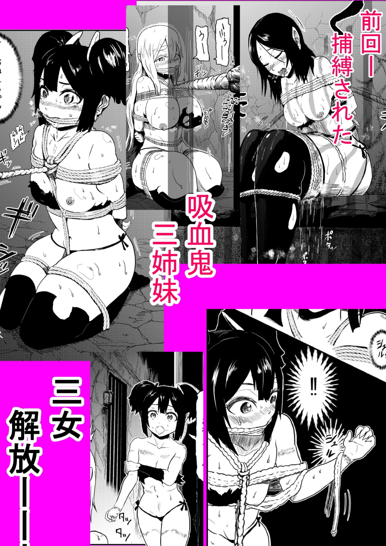 ヴァンパレイド2 ～吸血鬼 三姉妹 捕縛編～