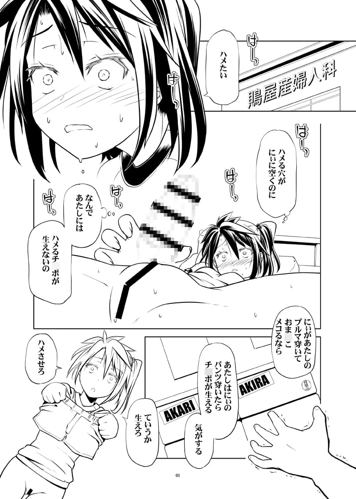 あきらちゃんとあかりちゃんは変態双子concept