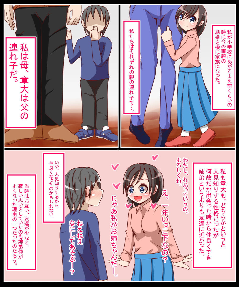 夏に寝取られた姉