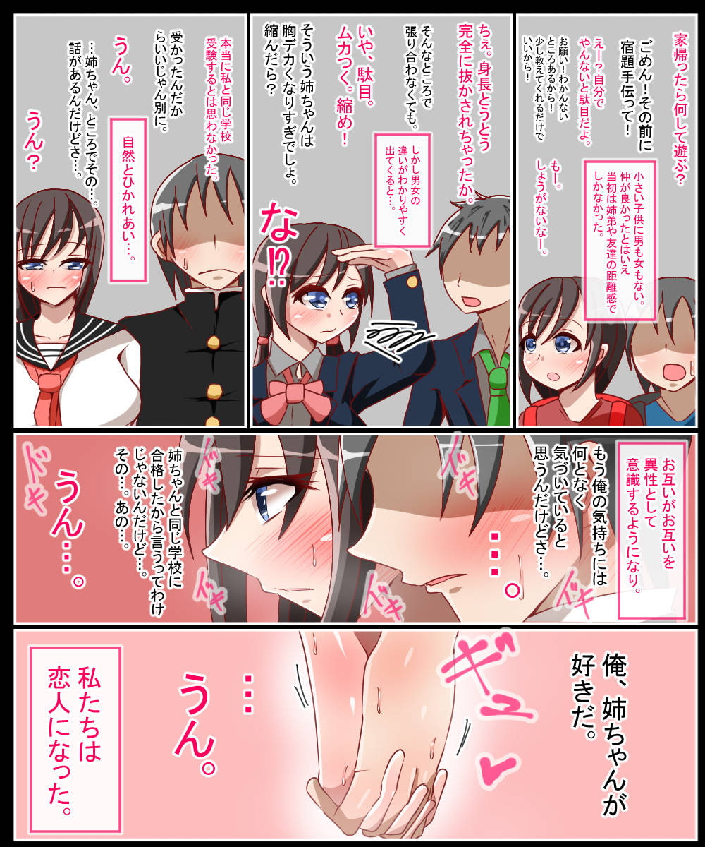 夏に寝取られた姉