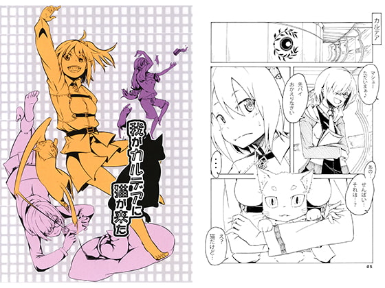 我がカルデアに猫が来た