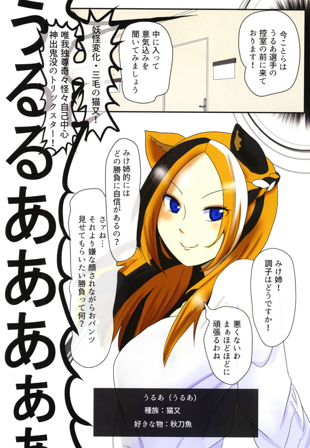 我娘竜猫七番勝負