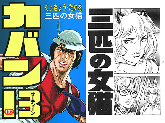 カバン13 三匹の女猫