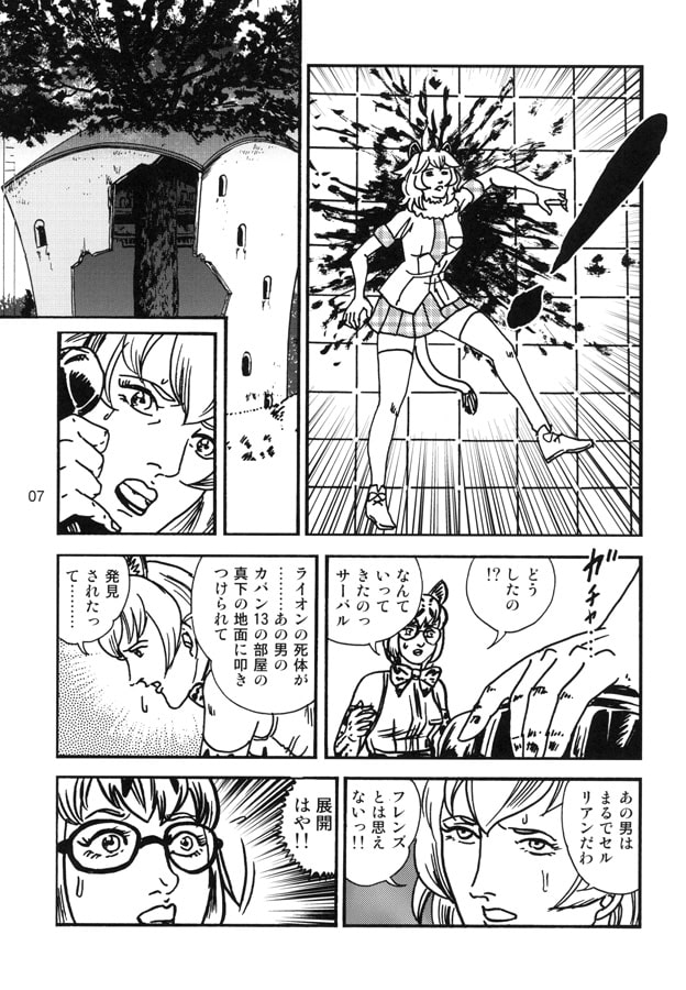 カバン13 三匹の女猫