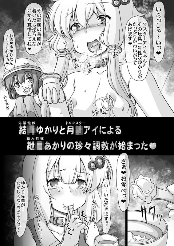 ゆかり珍あかり珍パラダイス