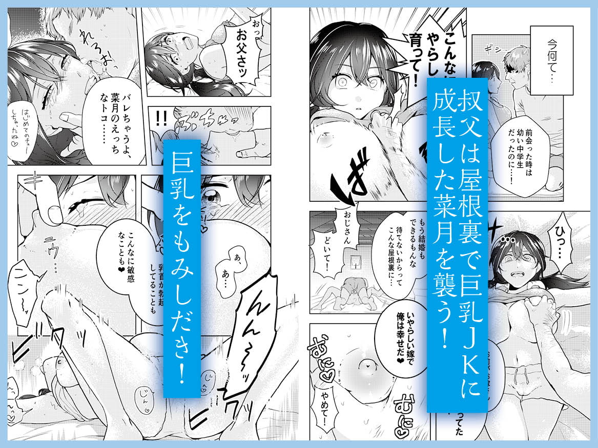 巨乳JKシリーズ(1) 菜月の夏休み