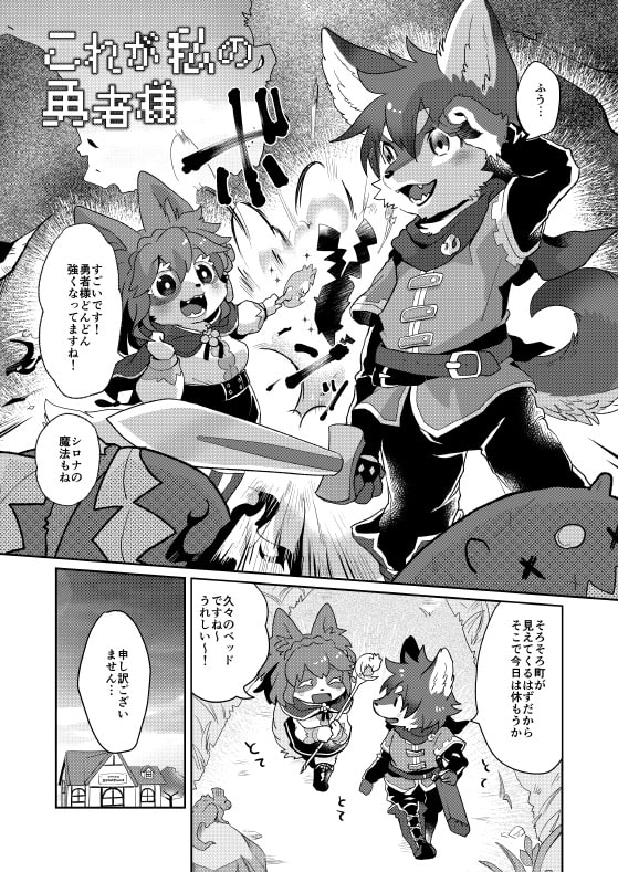 これが私の勇者様