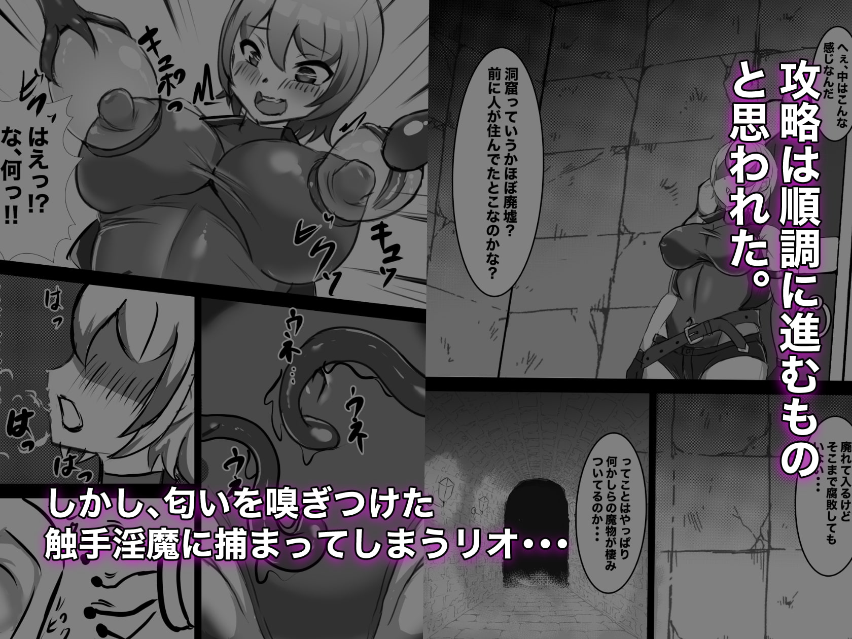 むっつりSランク冒険者、触手淫魔に捕らわれレベル排泄 & メス堕ち完全敗北