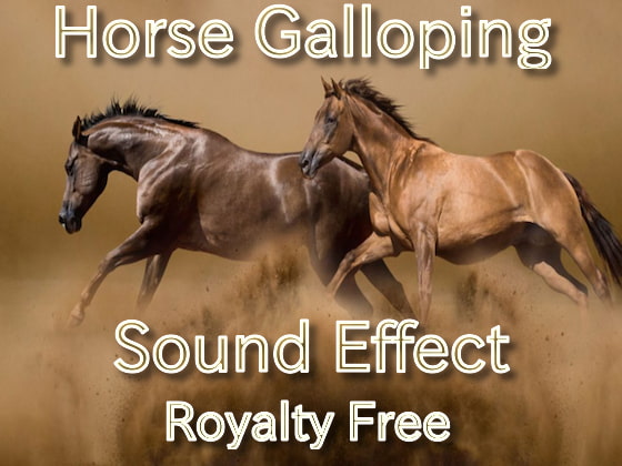 馬の走る 足音 効果音03