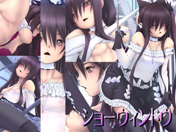 ショーウィンドウ