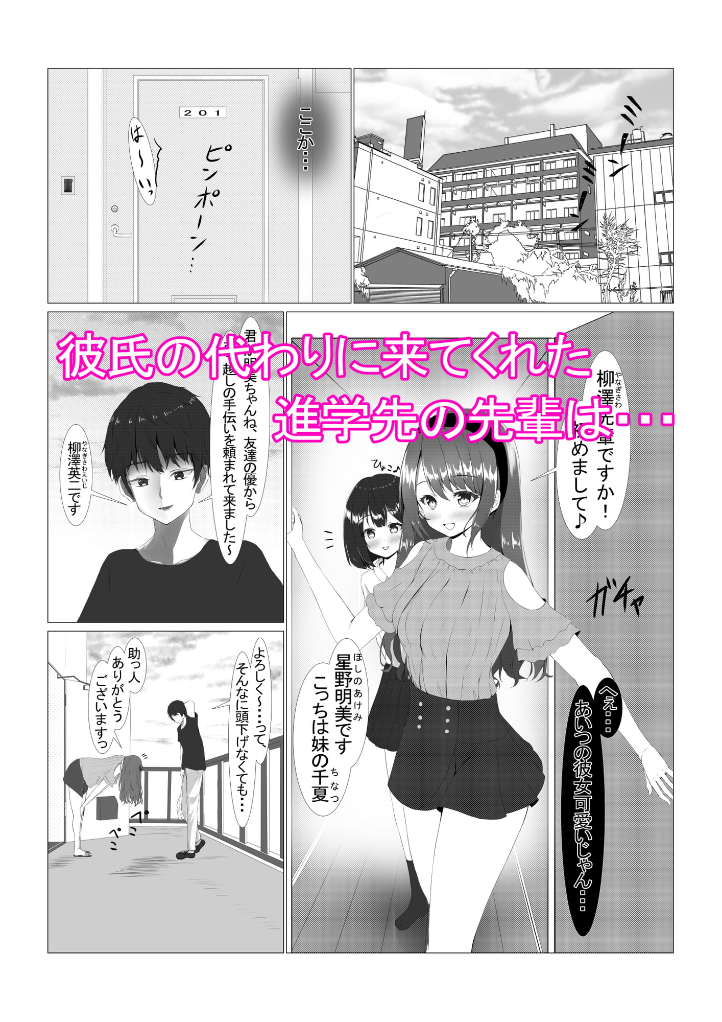 可愛い姉妹を睡眠レイ〇で寝取り計画