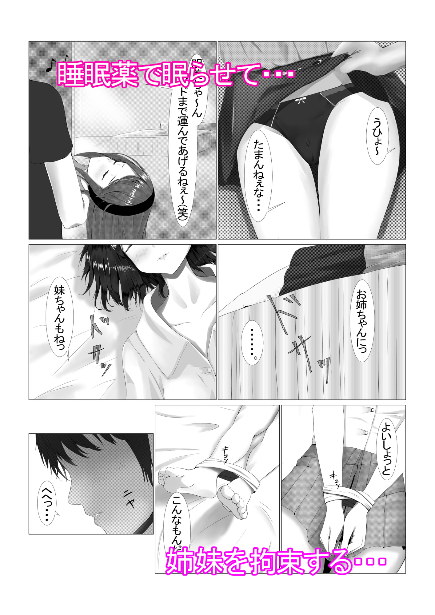 可愛い姉妹を睡眠レイ〇で寝取り計画