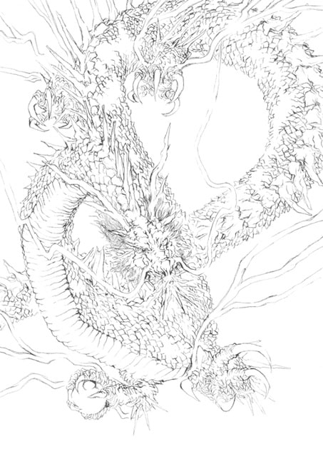 魚歌水心龍虎画集