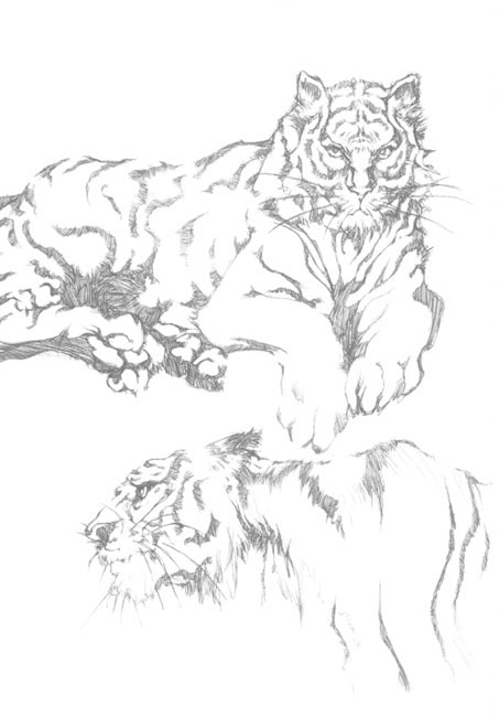 魚歌水心龍虎画集