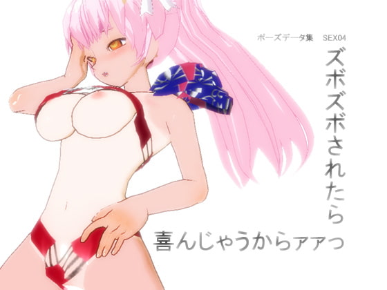 ポーズデーター集 SEX04 ～ ズボズボされたら喜んじゃうからァァっ ～