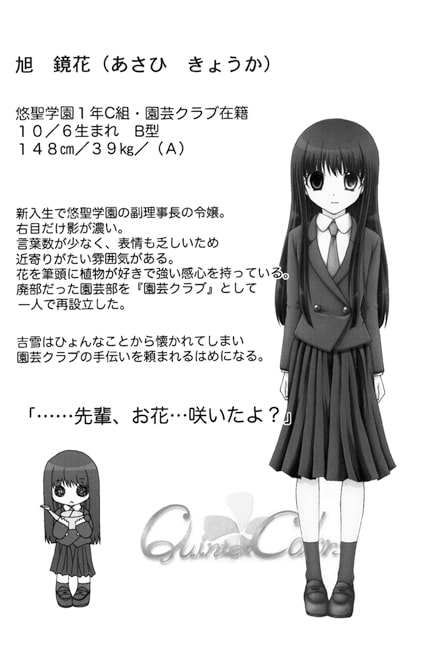 Quintet Colors Preview book