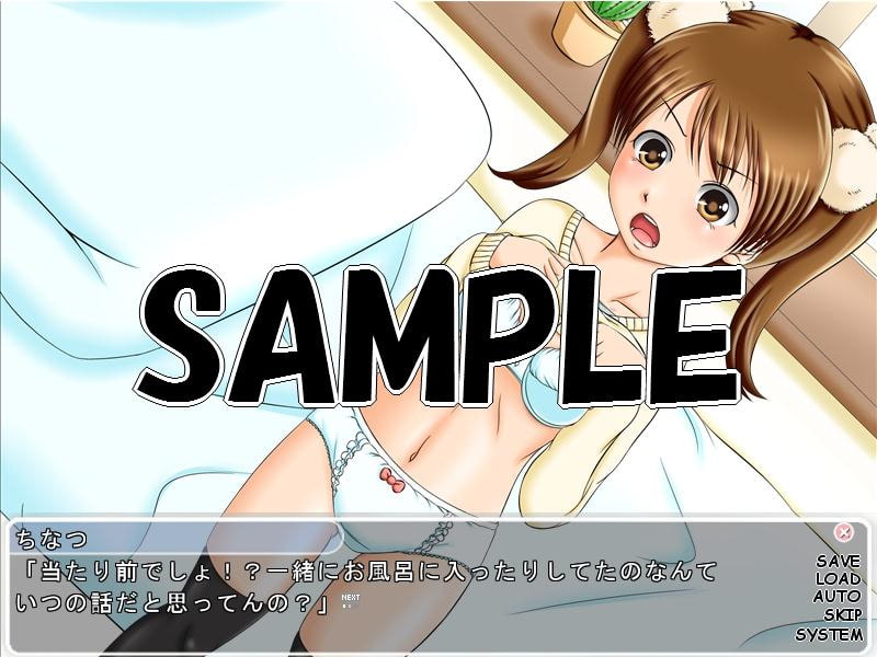 妹に童貞を捨てさせてもらった～ツンデレ風味～