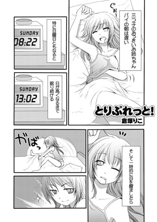 とりぷれっと・3