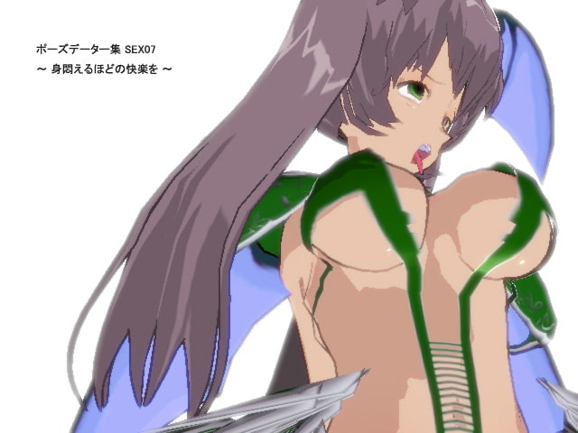ポーズデーター集 SEX07 ～ 身悶えるほどの快楽を ～