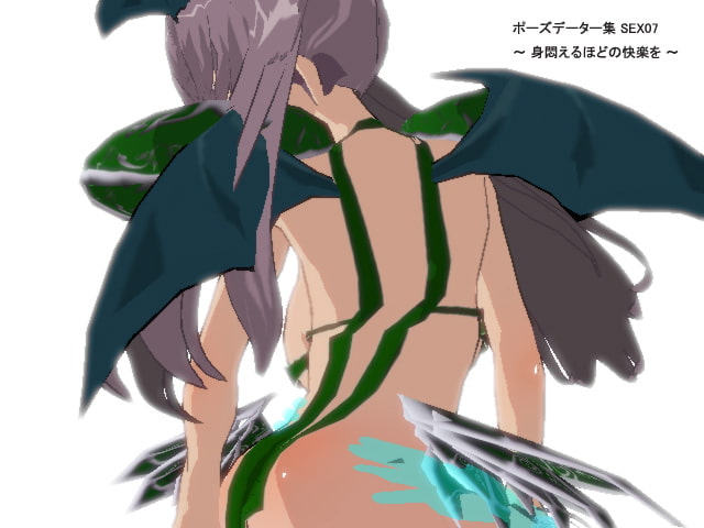 ポーズデーター集 SEX07 ～ 身悶えるほどの快楽を ～