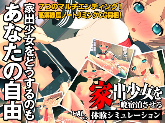 妄想体験アドベンチャーゲーム 『家出少女を一晩宿泊させる体験シミュレーション』